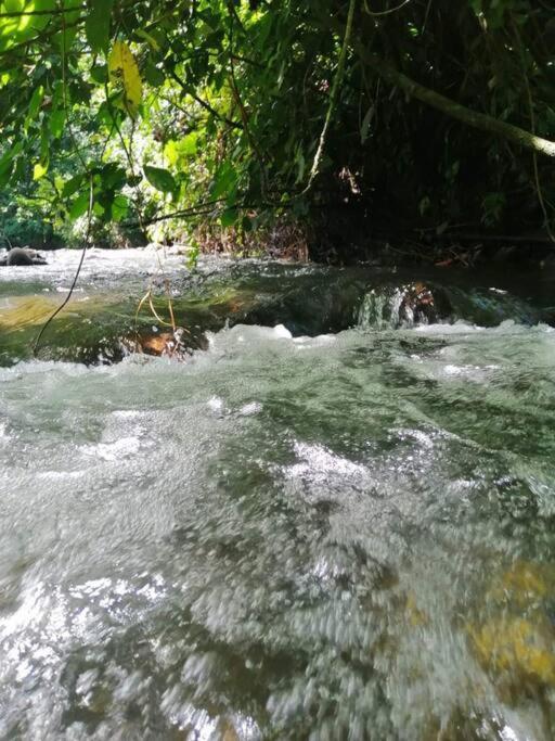 فيلا La Fortunaفي Casa Vacacional Lolita المظهر الخارجي الصورة